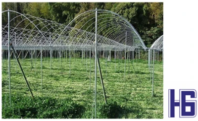 Aplicarea țevilor din fibră de carbon în agricultură
